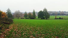 Bromley Park Swings