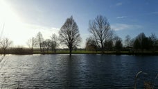 Bolton Brick Pond