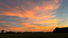 Hackney Marshes