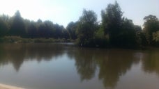 Common Pond