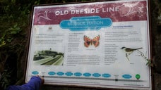 Old Bieldside Station