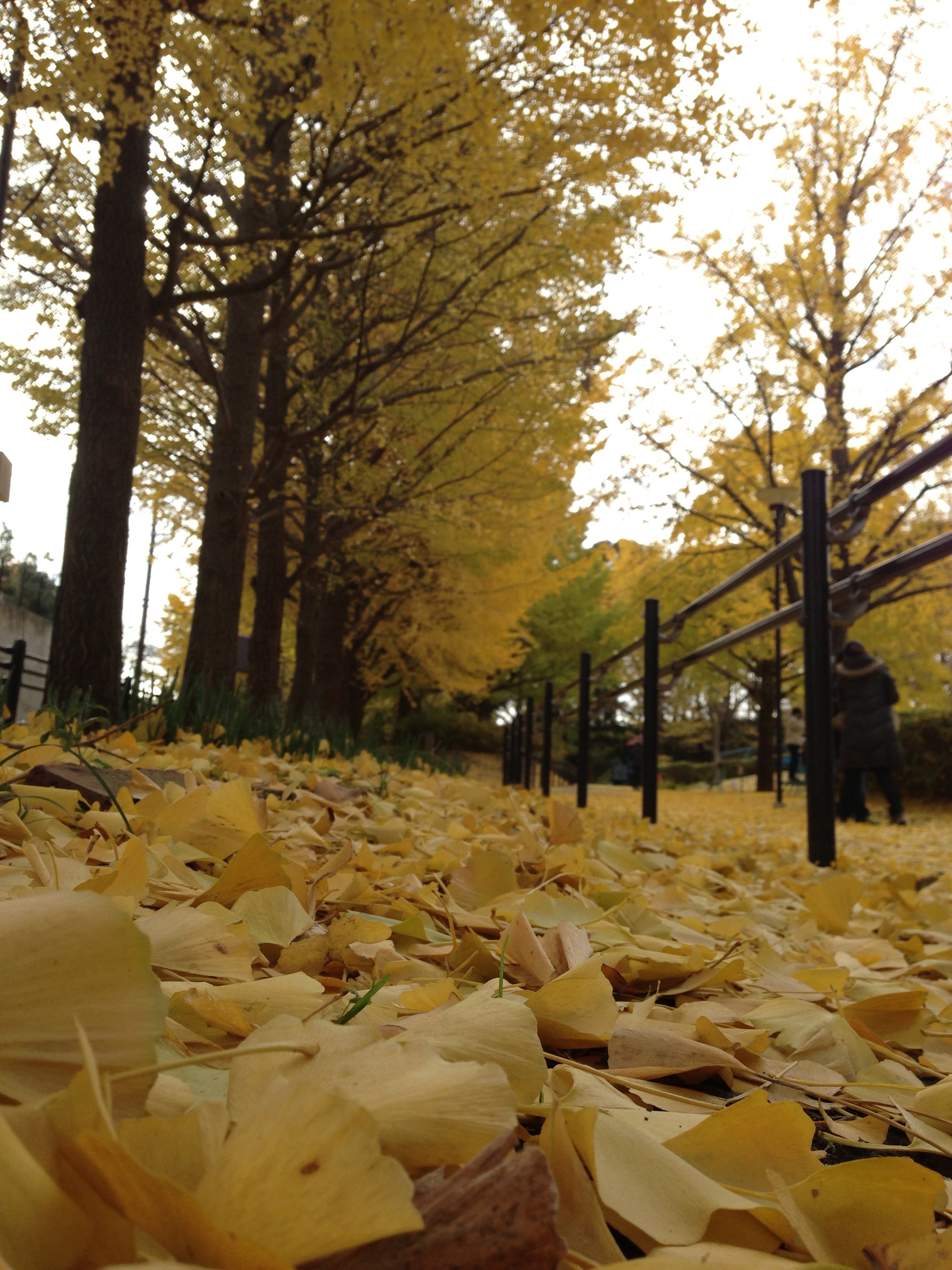 park