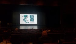Castro Valley Center for the Arts