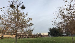 Glendale Central Park