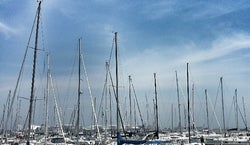 Anita Dee II Yacht at Dusable Harbor