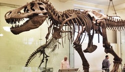 American Museum of Natural History- IMAX Theater