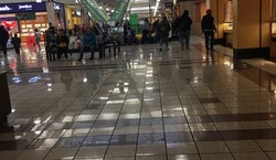 Circus Vargas at Weberstown Mall
