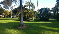 Golden Hill Park