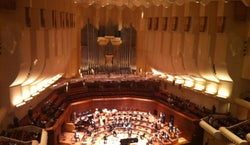 Sf Symphony Seating Chart View