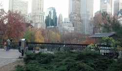 Central Park Sightseeing