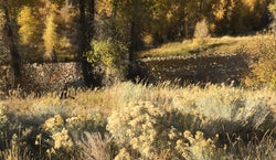 River's Edge Campground