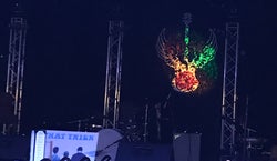 The Rose