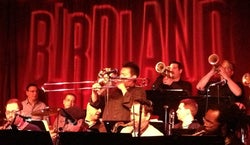 Birdland