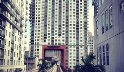 Grand Chapiteau at Bicentennial Park