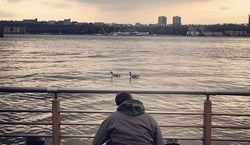 Circle Line Sightseeing Pier 83