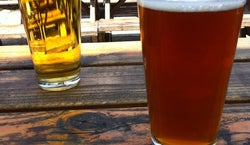 Migration Brewing