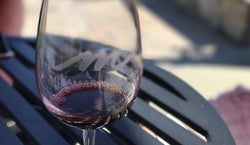 Miramar Vineyards