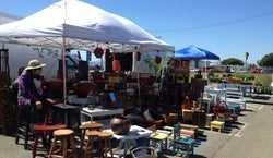 Treasure Island Flea