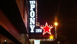 The Pony