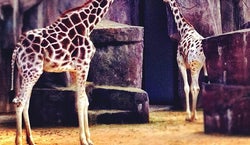 Milwaukee County Zoo
