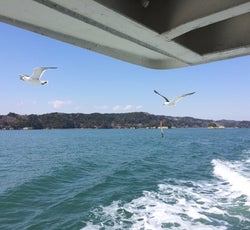 家族連れにもおすすめ みんなで楽しめる観光スポットを巡る仙台旅 宮城 仙台の旅行モデルコース こころから