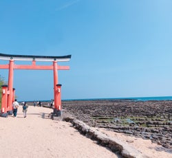 車なしでも楽しめる 宮崎1泊2日の定番旅 宮崎 宮崎 串間 日南の旅行モデルコース こころから
