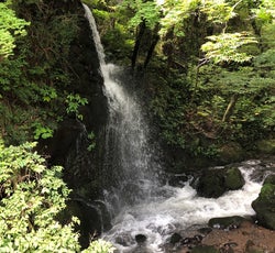 お疲れ都民の 駆け込み寺 湯河原温泉でパワースポットめぐりの旅 こころから お疲れ都民の 駆け込み寺 湯河原温泉でパワースポットめぐりの旅 こころから