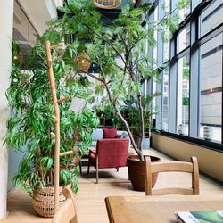 Balance Deli