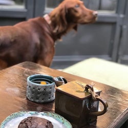 Hidden Coffee House