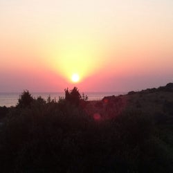 Limon Gümüşlük
