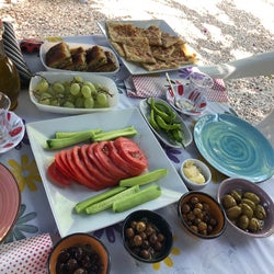 Defnenin Bahçesi