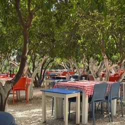 Kuytu Bahçe
