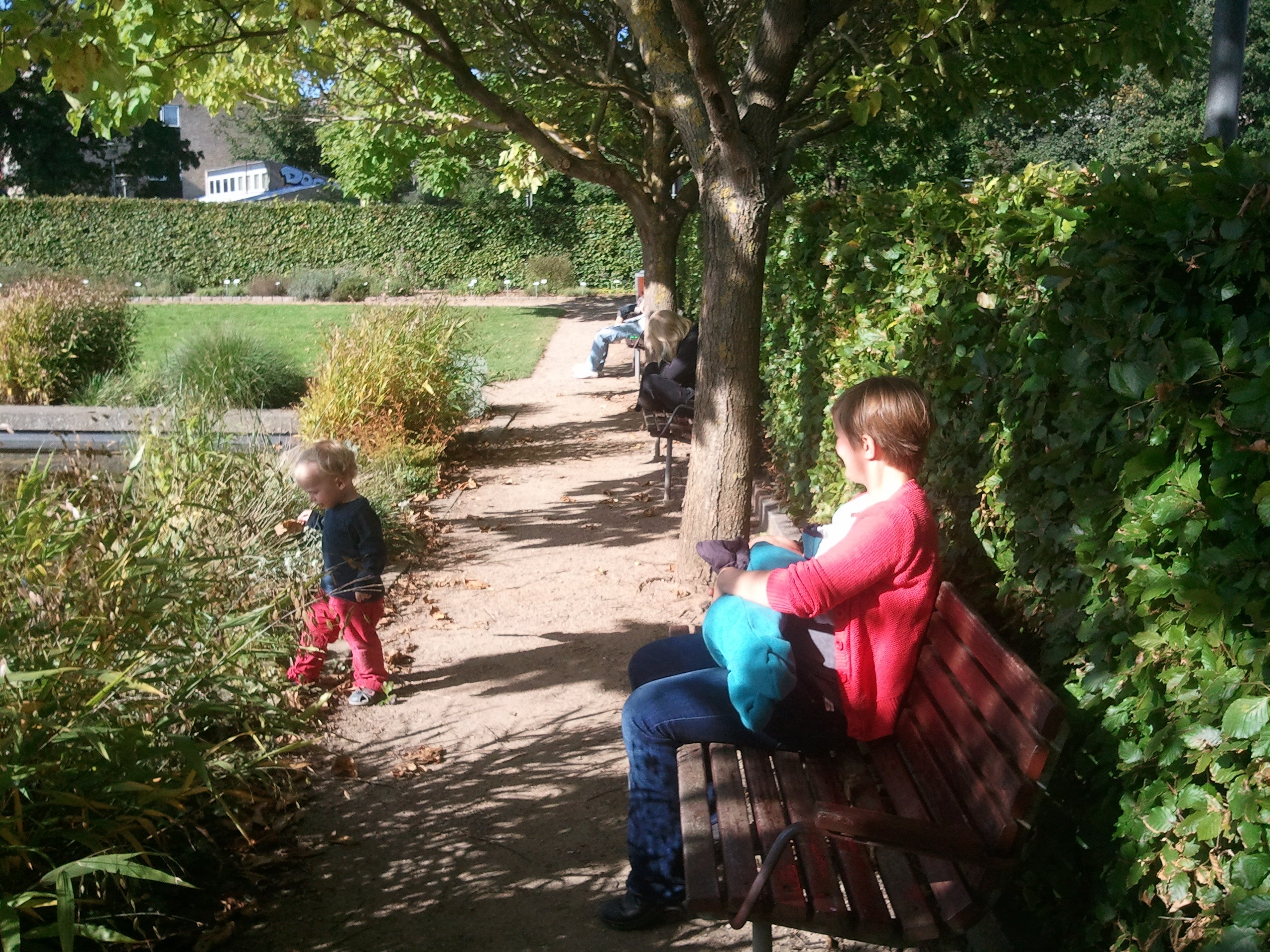 garden