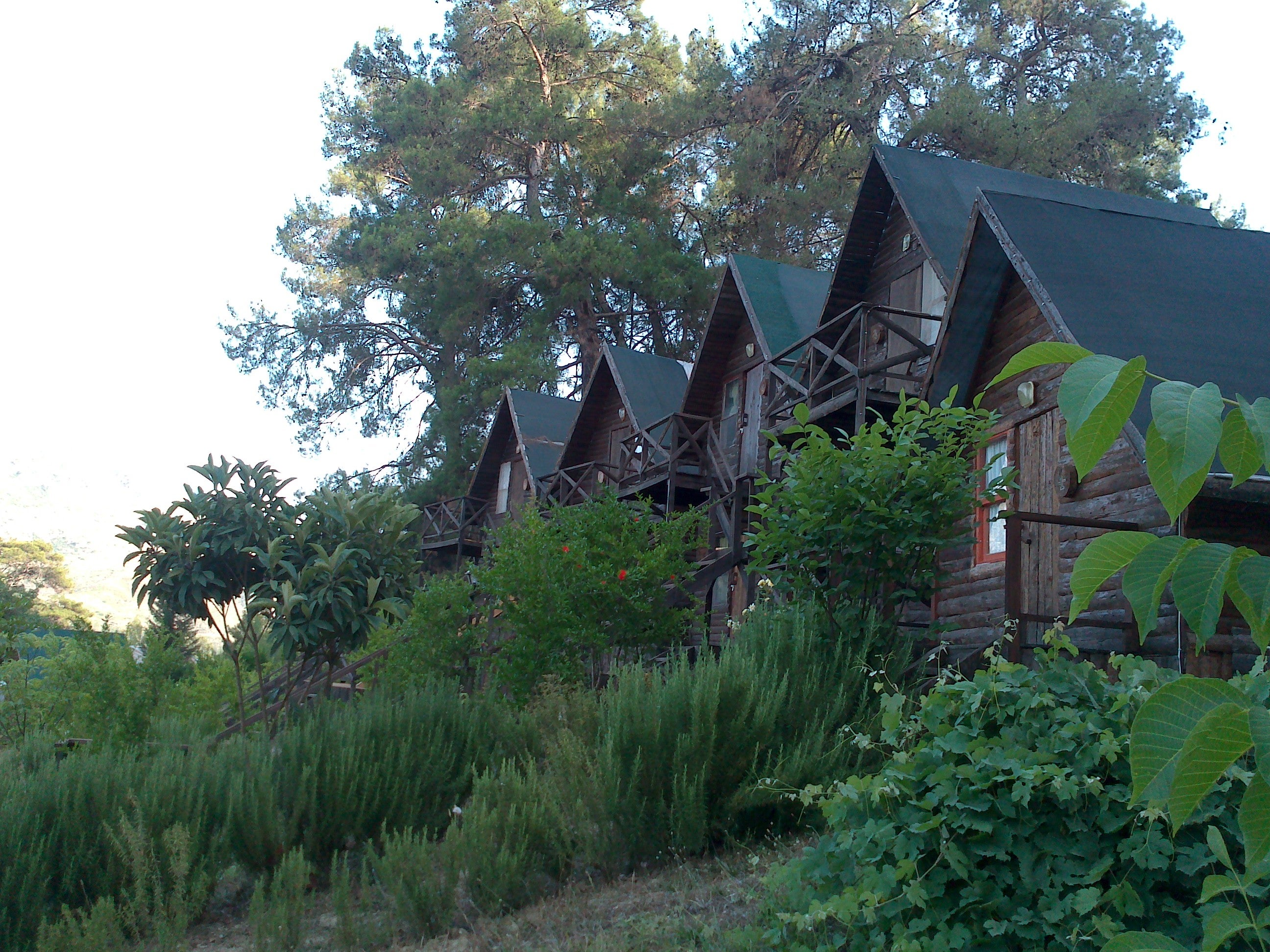bed-breakfast