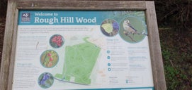 Rough Hill Woods