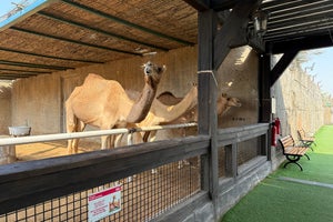 Emirates Park Zoo