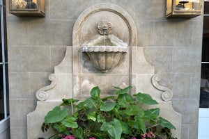 Merrion Hotel