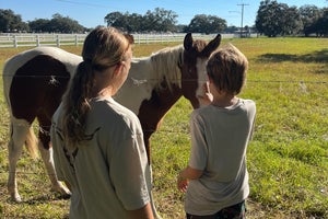 Westgate River Ranch