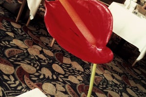 Hotel Faro, a Lopesan Collection Hotel