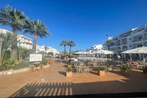 FERGUS Style Bahamas