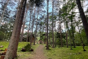 Macdonald Aviemore Resort