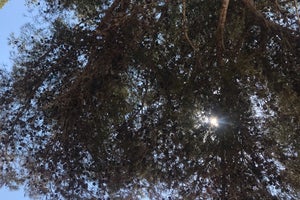 FERGUS Club Font de Sa Cala Beach