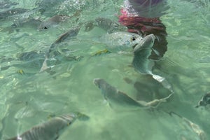 Bahia Principe Luxury Akumal