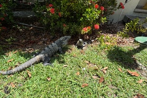 Bahia Principe Grand Coba