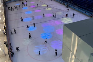Dubai Ice Rink
