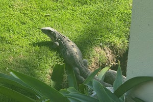 Bahia Principe Luxury Akumal