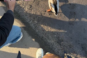 Tivoli Doelen Amsterdam Hotel