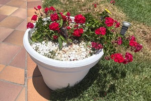 Hotel Axelbeach Maspalomas