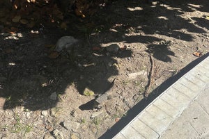 Bahia Principe Grand Tulum