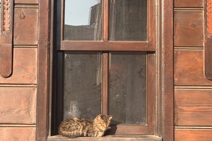 Millennium Istanbul Golden Horn